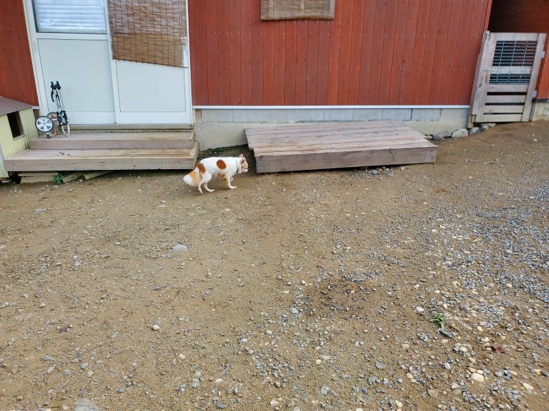 f:id:roukenhome-ann:20191017154508j:plain