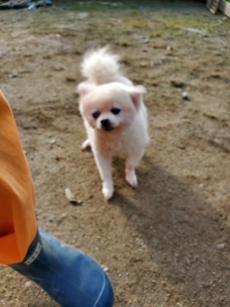f:id:roukenhome-ann:20191017154521j:plain