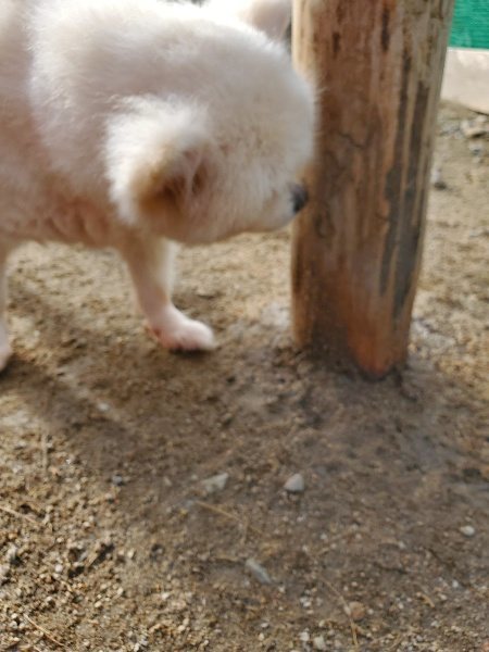 f:id:roukenhome-ann:20191017154539j:plain