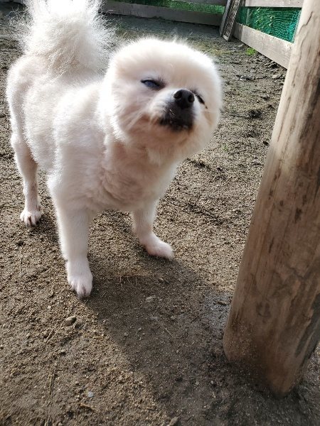 f:id:roukenhome-ann:20191017154557j:plain