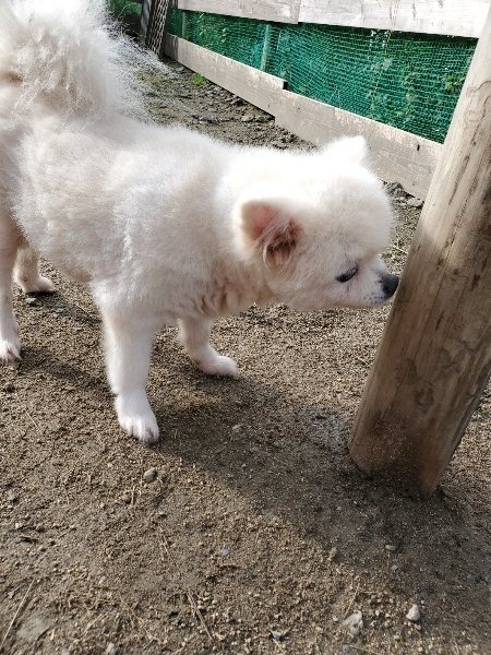 f:id:roukenhome-ann:20191017154611j:plain
