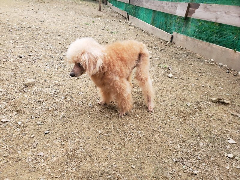 f:id:roukenhome-ann:20191017184131j:plain
