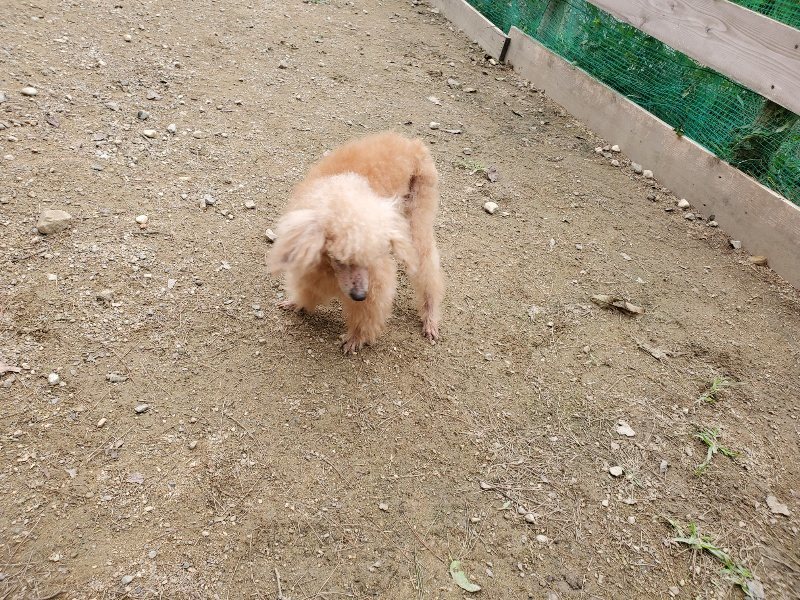 f:id:roukenhome-ann:20191017184212j:plain