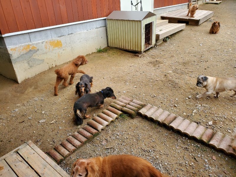 f:id:roukenhome-ann:20191017184311j:plain