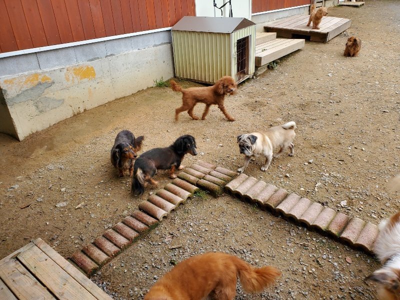 f:id:roukenhome-ann:20191017184320j:plain