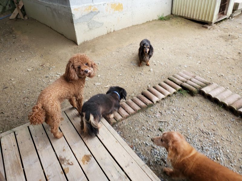 f:id:roukenhome-ann:20191017184332j:plain