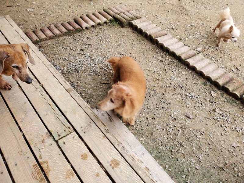 f:id:roukenhome-ann:20191017184411j:plain