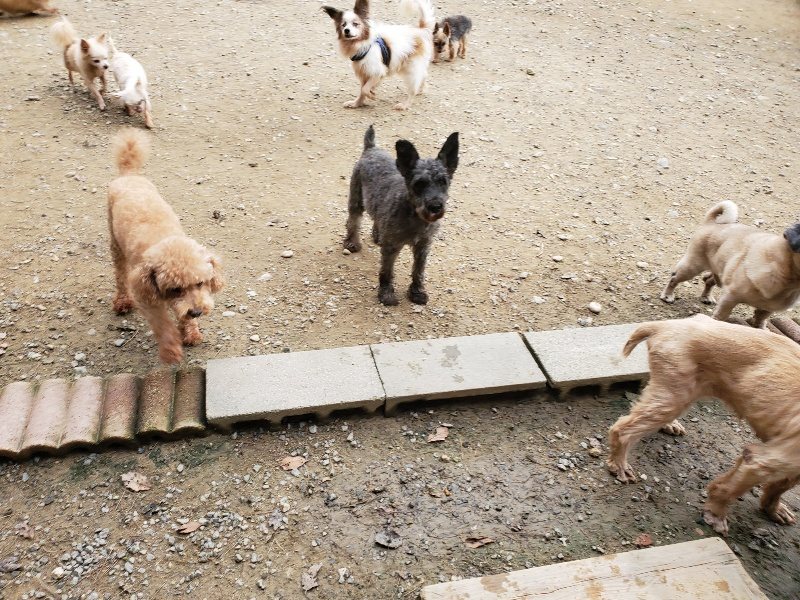 f:id:roukenhome-ann:20191017184520j:plain