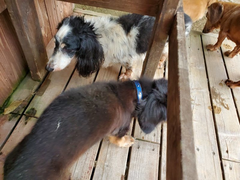 f:id:roukenhome-ann:20191017184615j:plain