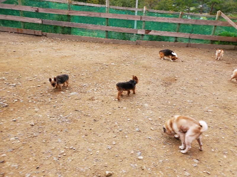 f:id:roukenhome-ann:20191017184719j:plain