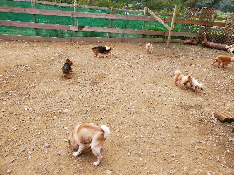 f:id:roukenhome-ann:20191017184735j:plain