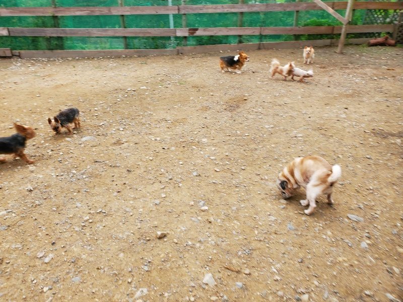 f:id:roukenhome-ann:20191017184757j:plain