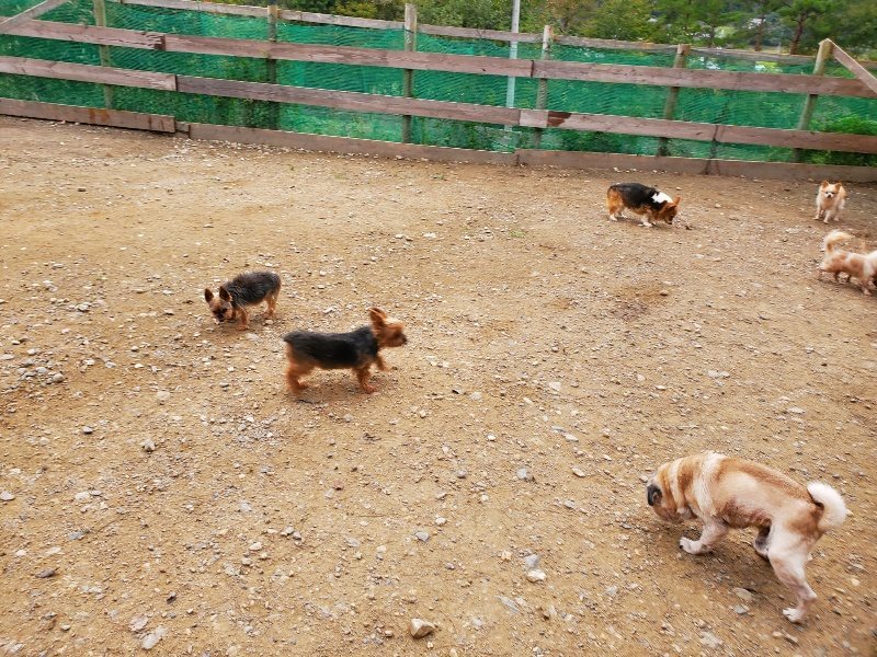 f:id:roukenhome-ann:20191017184814j:plain