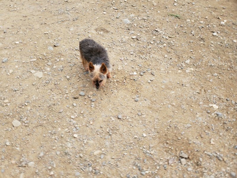 f:id:roukenhome-ann:20191017185052j:plain