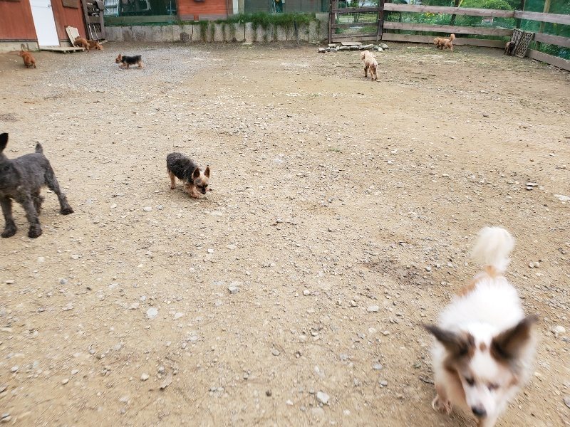 f:id:roukenhome-ann:20191017185116j:plain