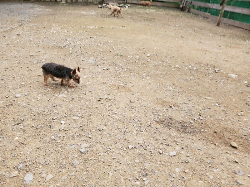 f:id:roukenhome-ann:20191017185132j:plain