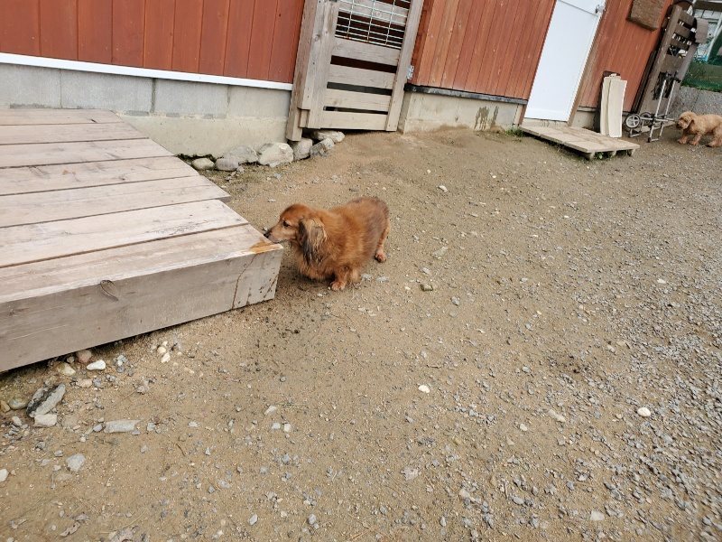 f:id:roukenhome-ann:20191017185142j:plain