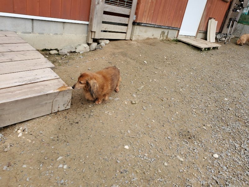 f:id:roukenhome-ann:20191017185207j:plain