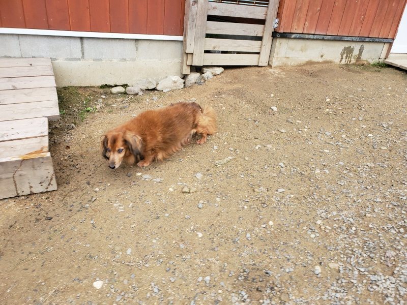 f:id:roukenhome-ann:20191017185219j:plain