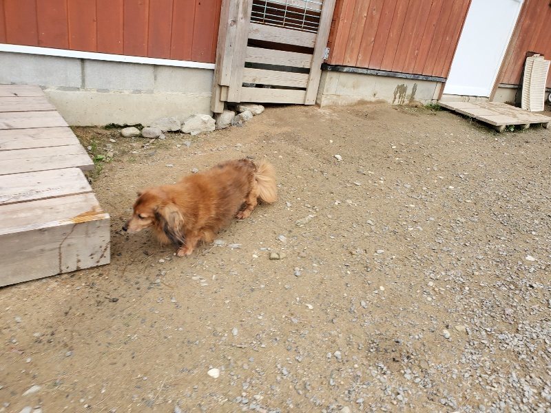 f:id:roukenhome-ann:20191017185233j:plain