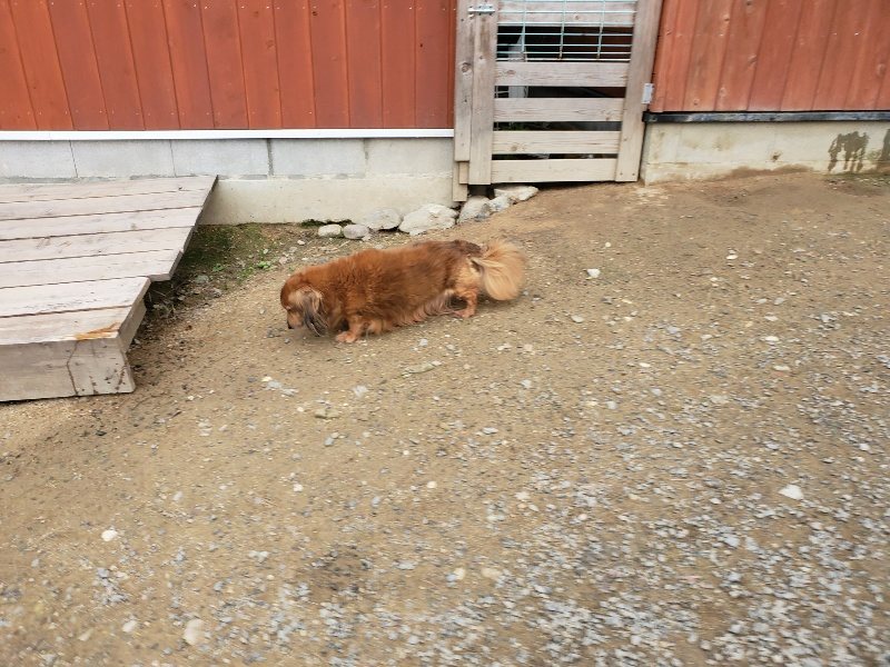 f:id:roukenhome-ann:20191017185251j:plain