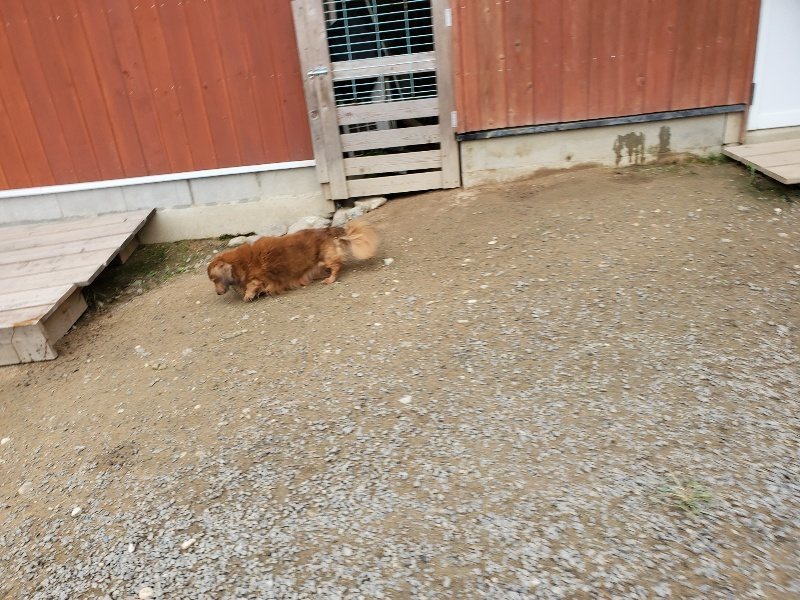 f:id:roukenhome-ann:20191017185305j:plain
