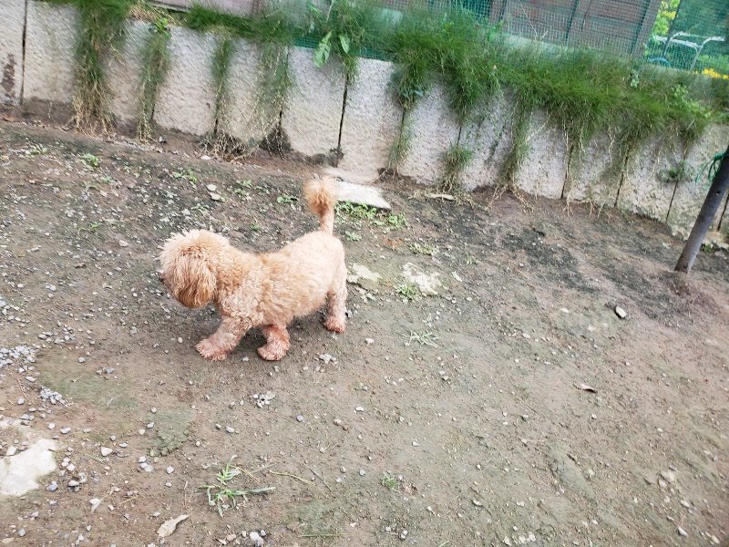 f:id:roukenhome-ann:20191017185322j:plain