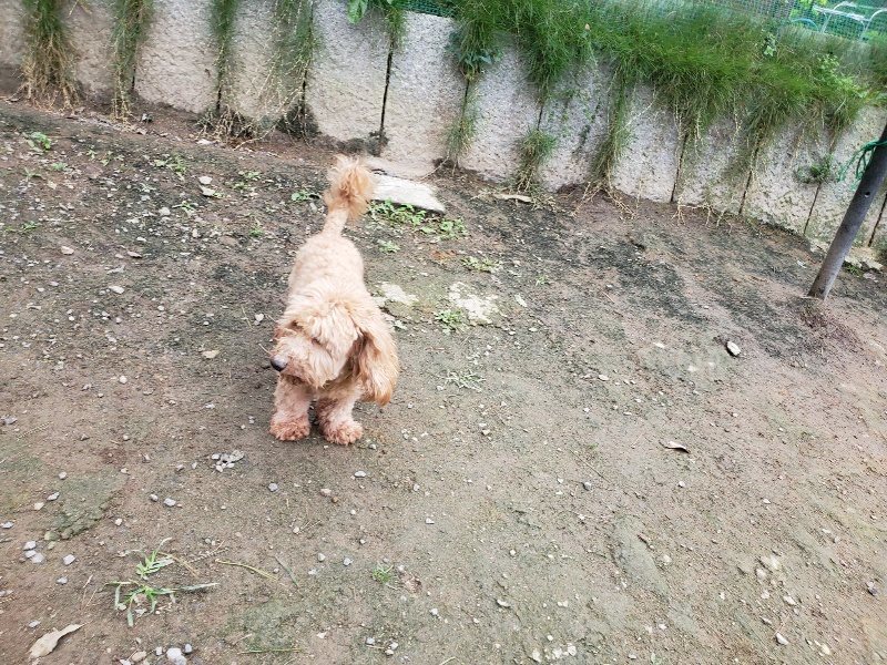 f:id:roukenhome-ann:20191017185332j:plain