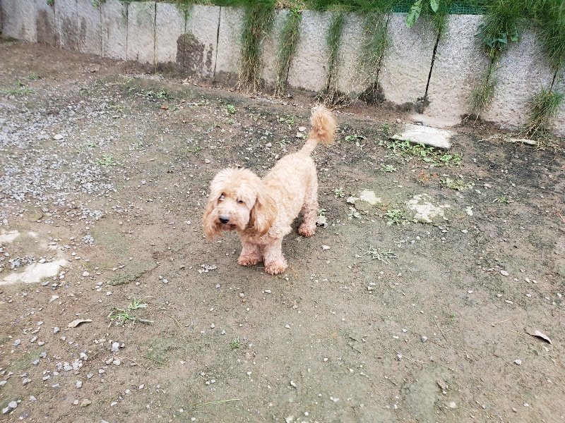 f:id:roukenhome-ann:20191017185345j:plain