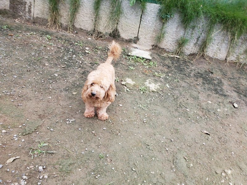 f:id:roukenhome-ann:20191017185400j:plain