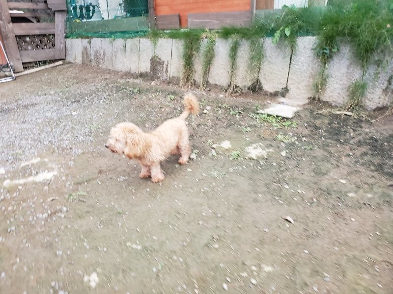 f:id:roukenhome-ann:20191017185408j:plain