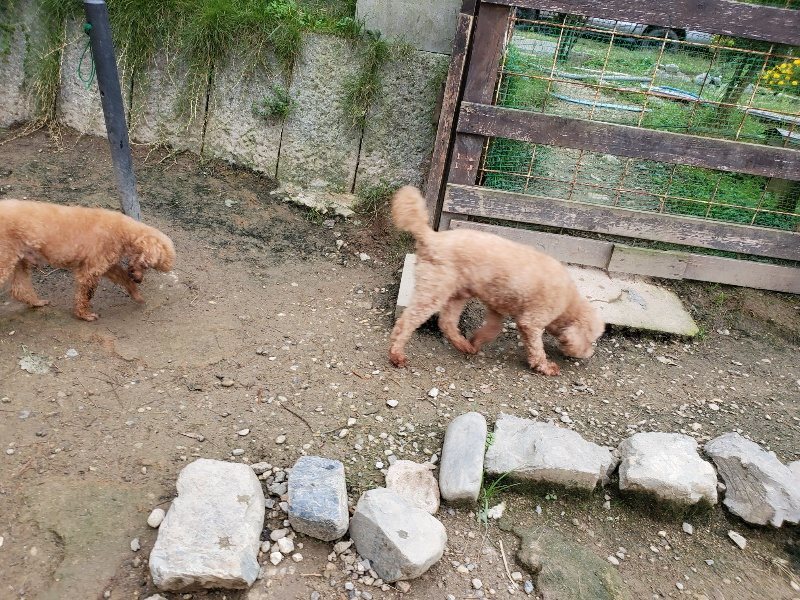 f:id:roukenhome-ann:20191017185420j:plain