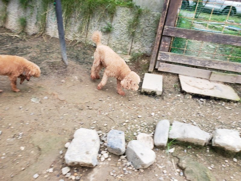 f:id:roukenhome-ann:20191017185427j:plain