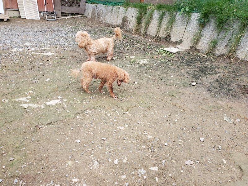 f:id:roukenhome-ann:20191017185437j:plain