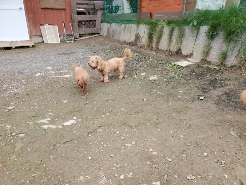 f:id:roukenhome-ann:20191017185500j:plain