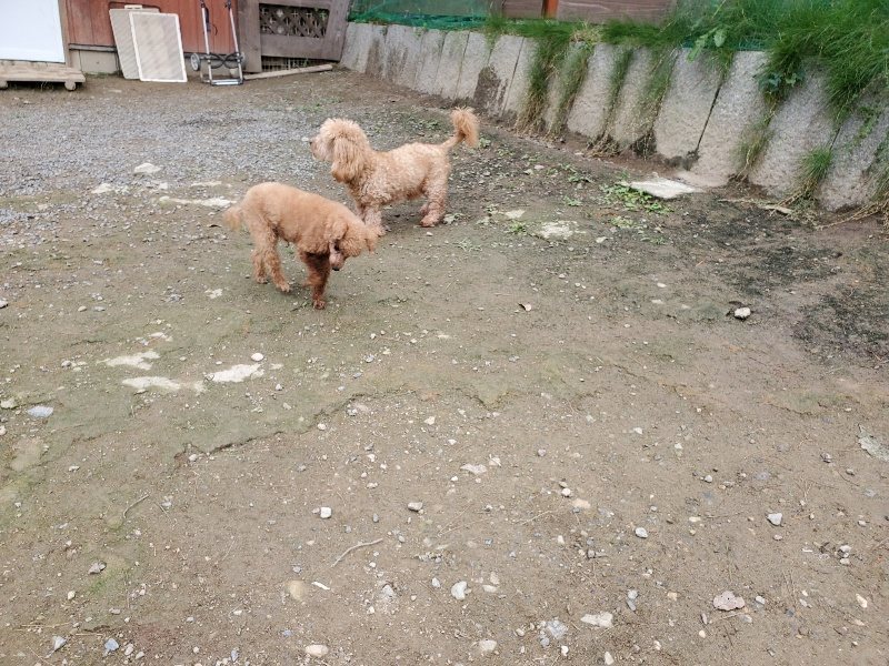 f:id:roukenhome-ann:20191017185512j:plain