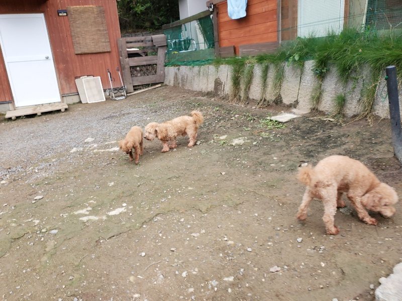 f:id:roukenhome-ann:20191017185525j:plain