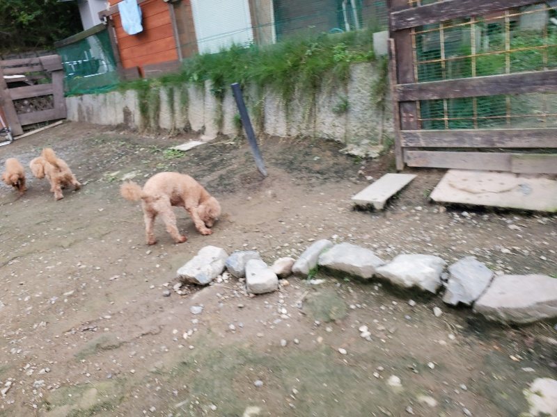 f:id:roukenhome-ann:20191017185534j:plain