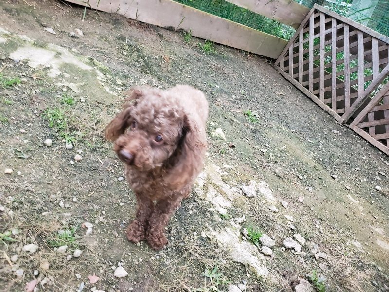 f:id:roukenhome-ann:20191017185556j:plain