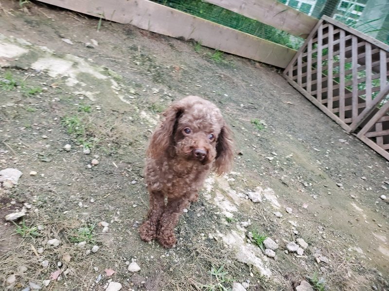 f:id:roukenhome-ann:20191017185607j:plain