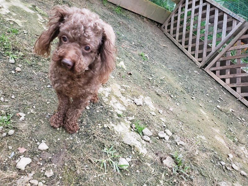 f:id:roukenhome-ann:20191017185618j:plain