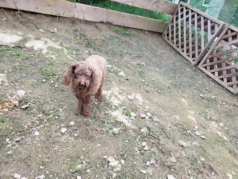 f:id:roukenhome-ann:20191017185635j:plain