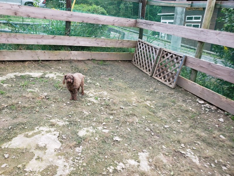 f:id:roukenhome-ann:20191017185647j:plain