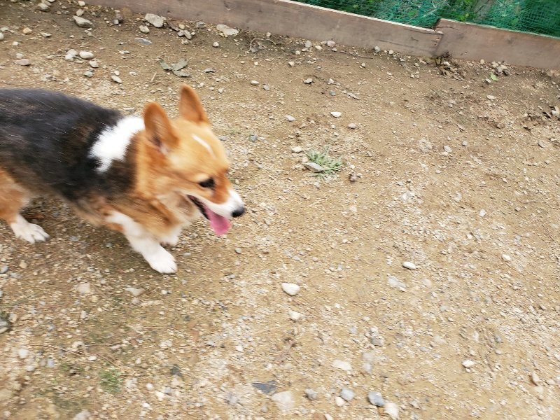 f:id:roukenhome-ann:20191017185707j:plain