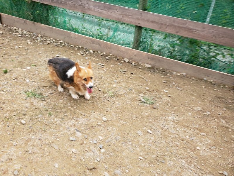 f:id:roukenhome-ann:20191017185720j:plain