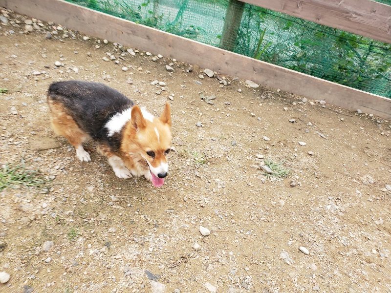 f:id:roukenhome-ann:20191017185725j:plain