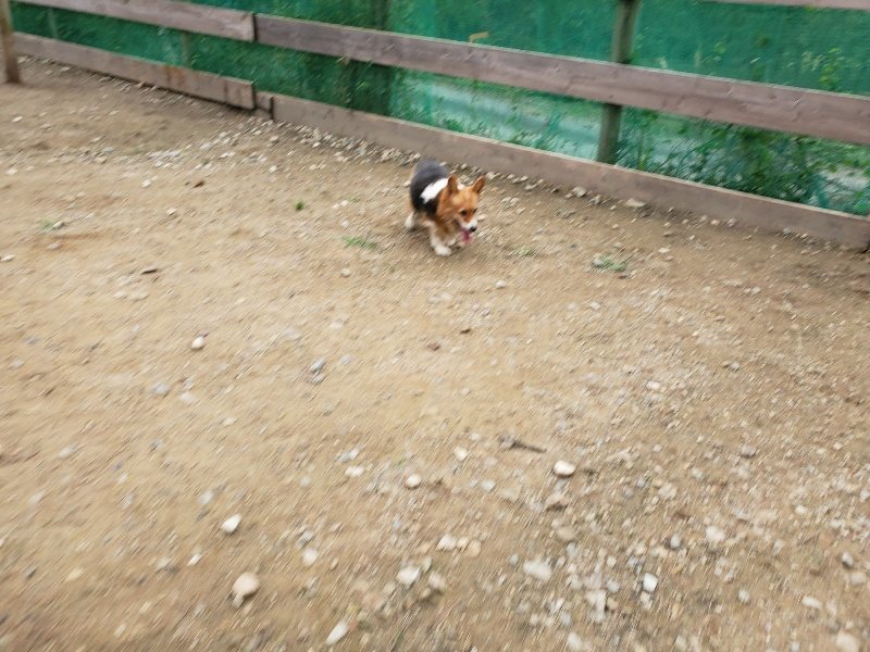 f:id:roukenhome-ann:20191017185737j:plain