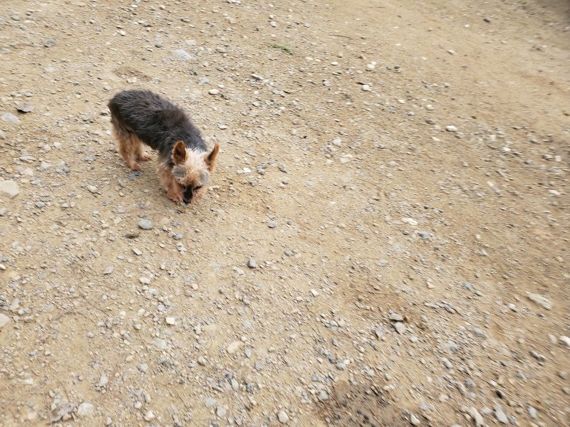 f:id:roukenhome-ann:20191017185831j:plain