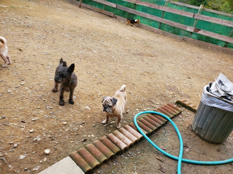 f:id:roukenhome-ann:20191017190942j:plain