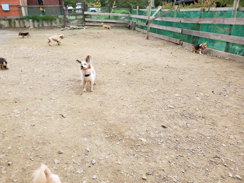 f:id:roukenhome-ann:20191017191008j:plain
